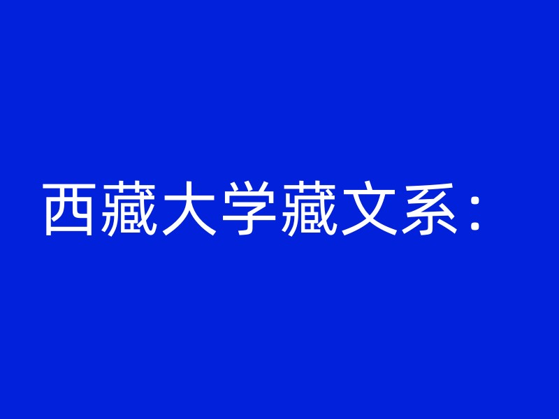 西藏大学藏文系：