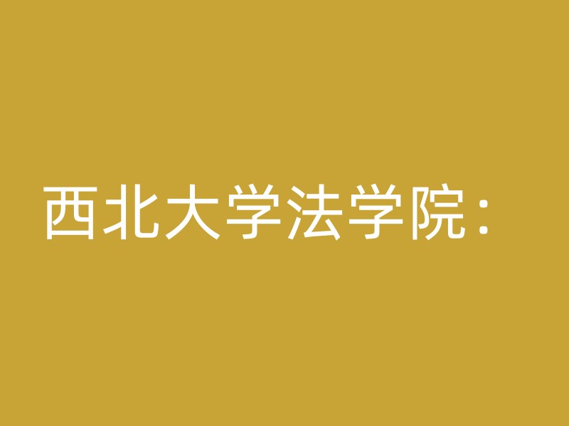 西北大学法学院：