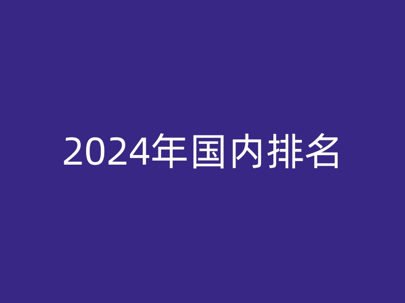 2024年国内排名