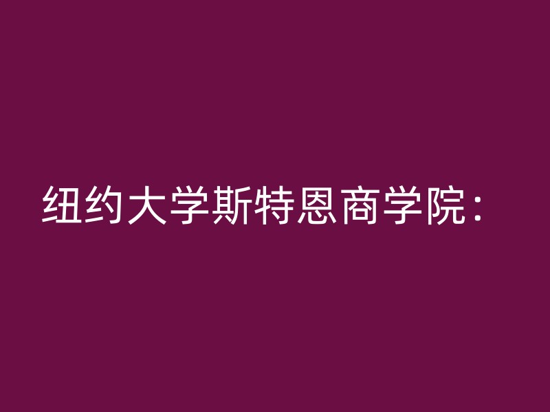 纽约大学斯特恩商学院：