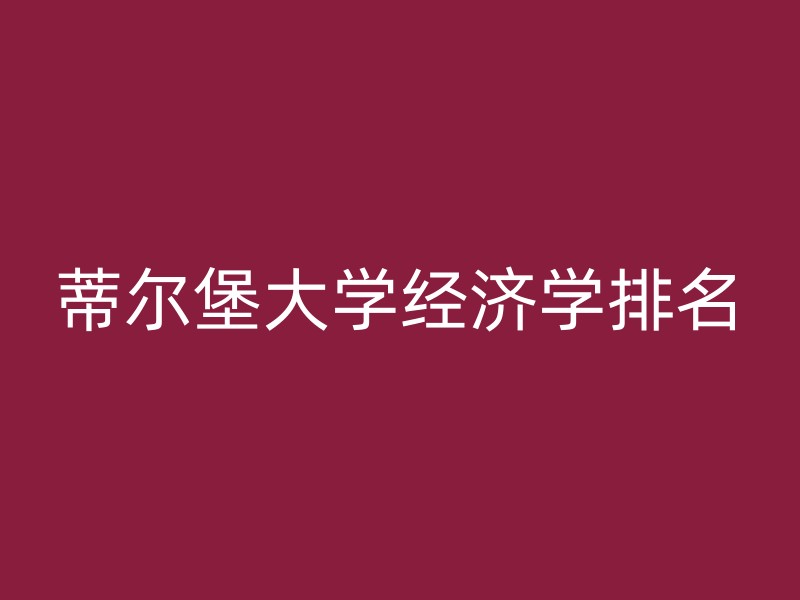 蒂尔堡大学经济学排名