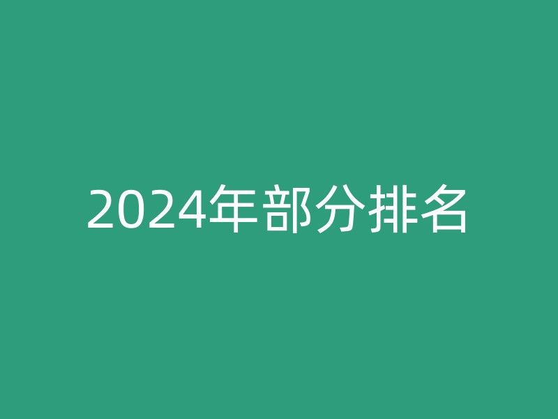 2024年部分排名