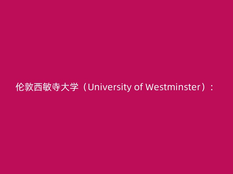 伦敦西敏寺大学（University of Westminster）：