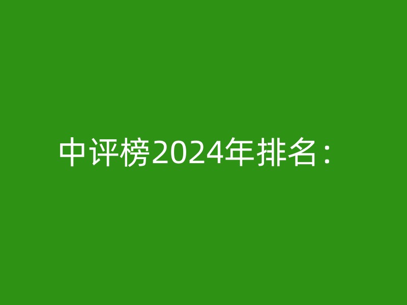 中评榜2024年排名：