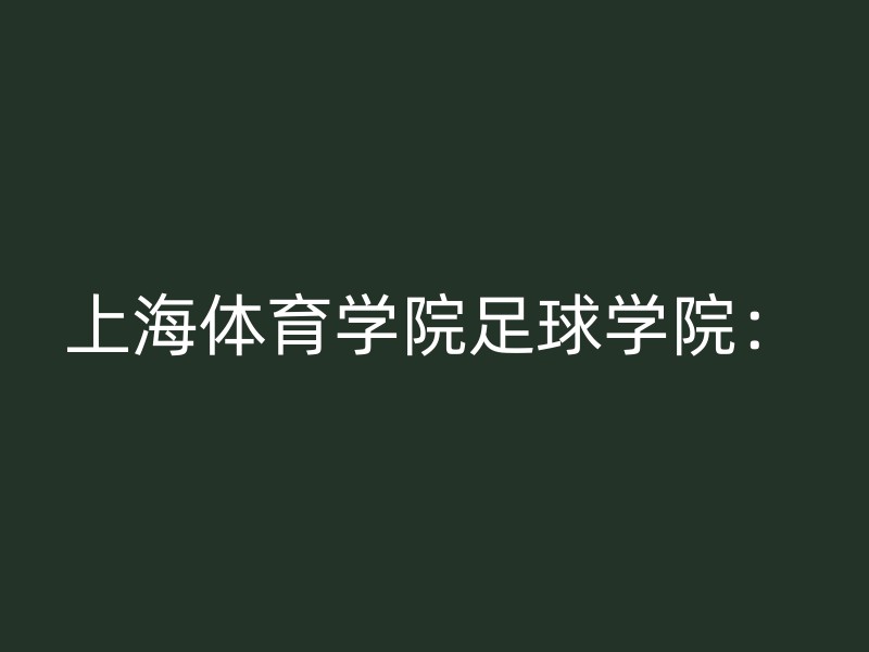 上海体育学院足球学院：