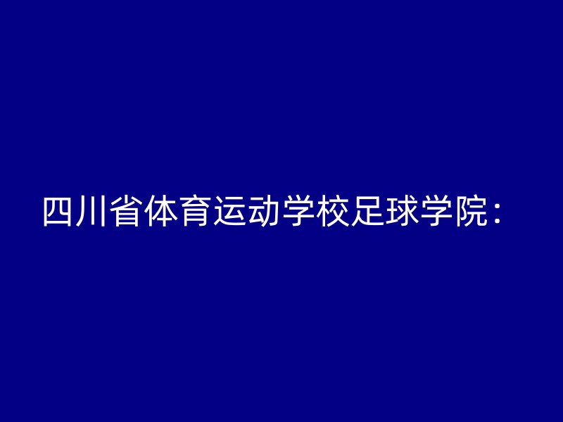 四川省体育运动学校足球学院：