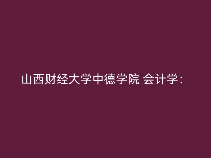 山西财经大学中德学院 会计学：