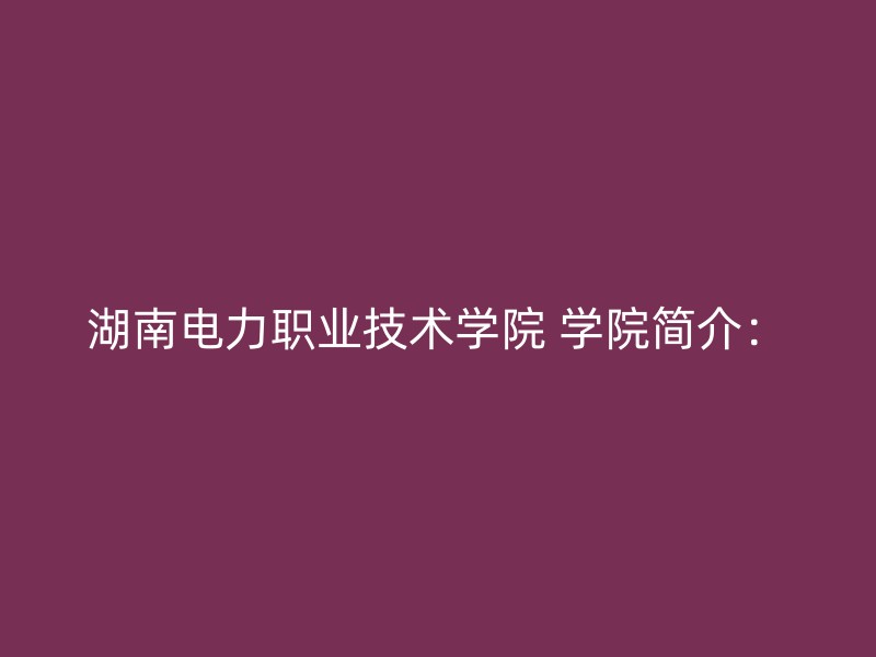 湖南电力职业技术学院 学院简介：