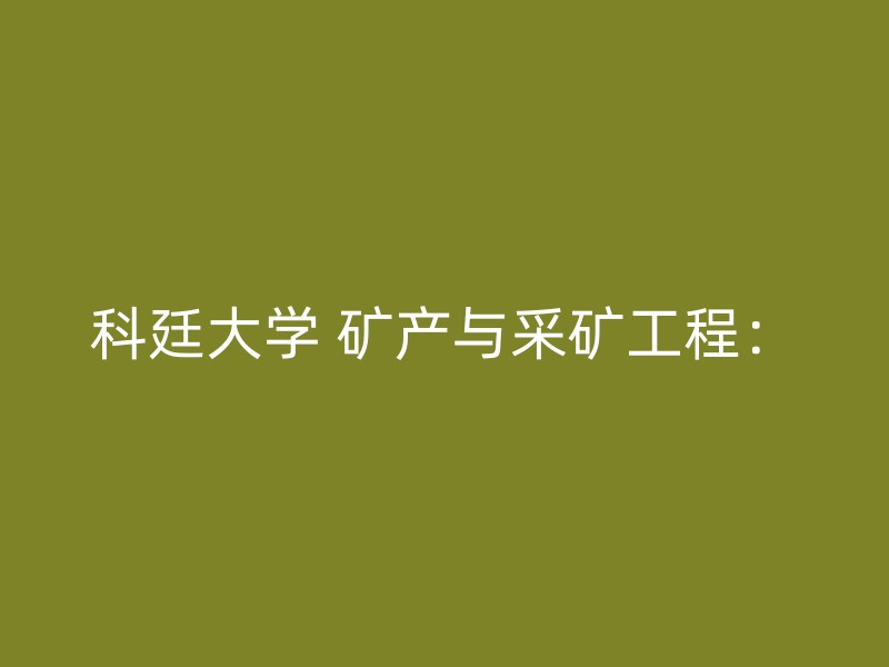 科廷大学 矿产与采矿工程：