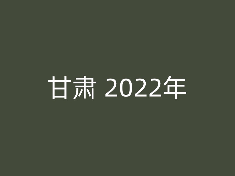 甘肃 2022年