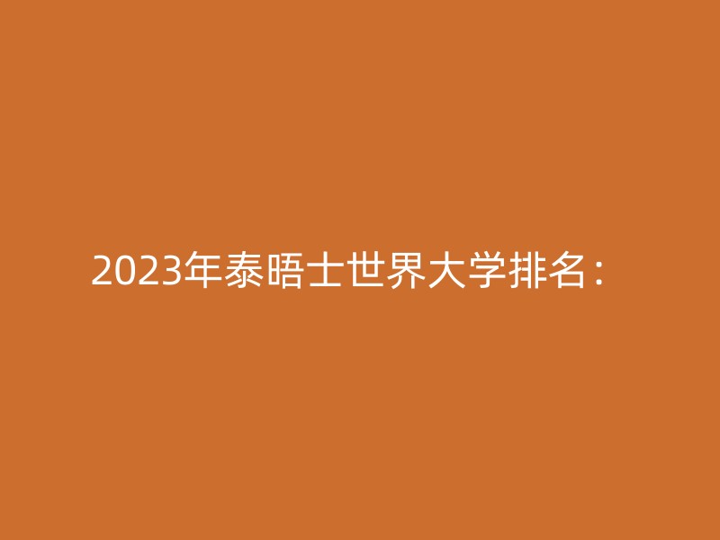 2023年泰晤士世界大学排名：