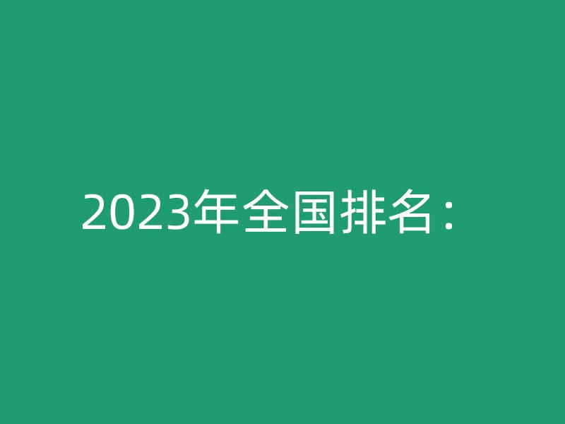 2023年全国排名：