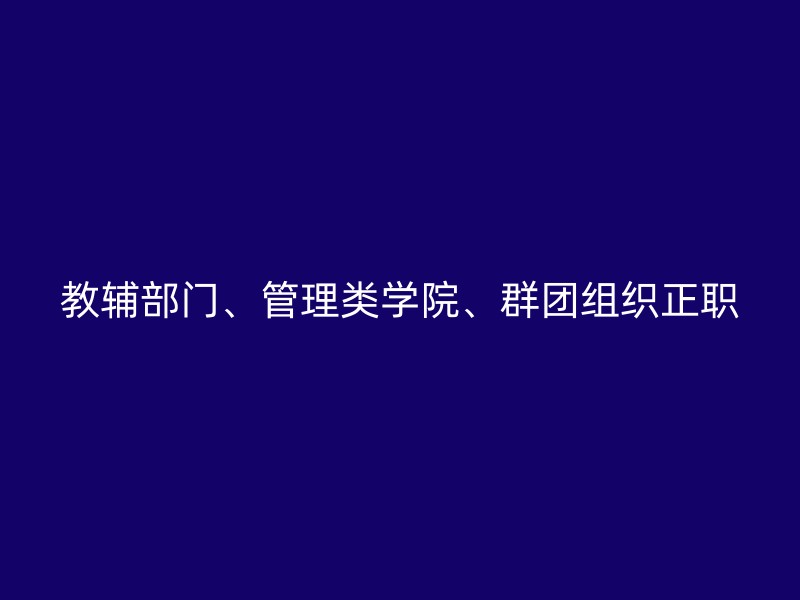 教辅部门、管理类学院、群团组织正职