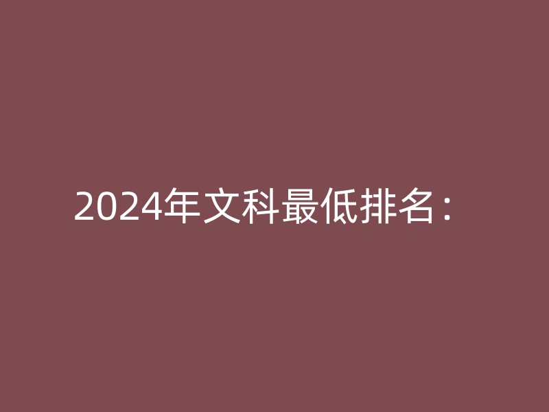 2024年文科最低排名：