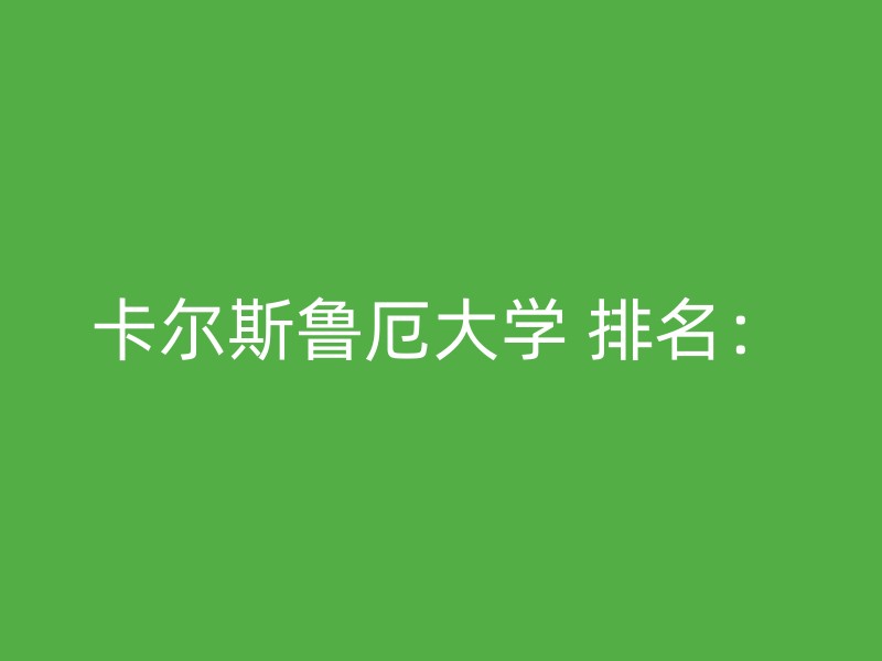 卡尔斯鲁厄大学 排名：