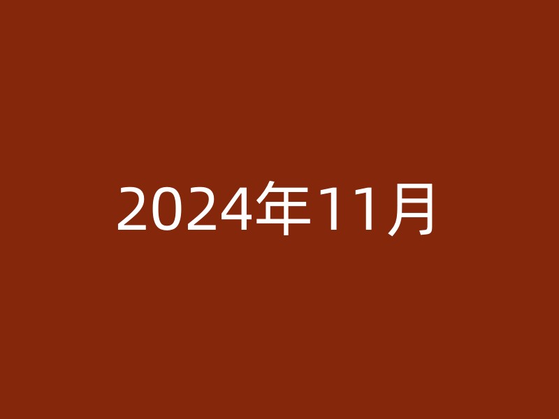 2024年11月