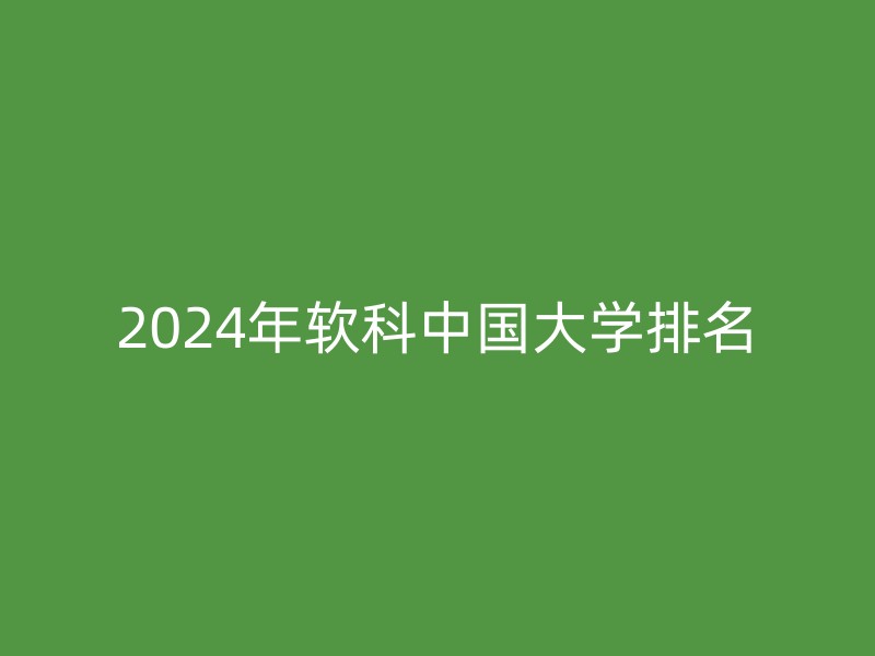 2024年软科中国大学排名