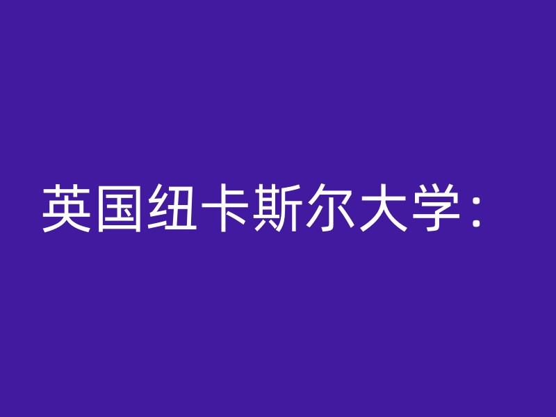 英国纽卡斯尔大学：