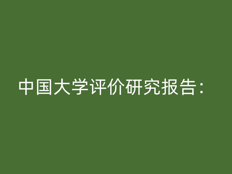 中国大学评价研究报告：