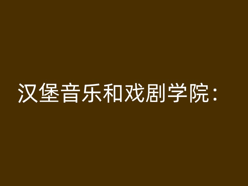 汉堡音乐和戏剧学院：