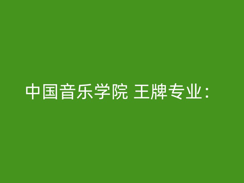 中国音乐学院 王牌专业：