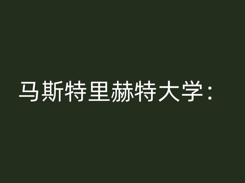 马斯特里赫特大学：