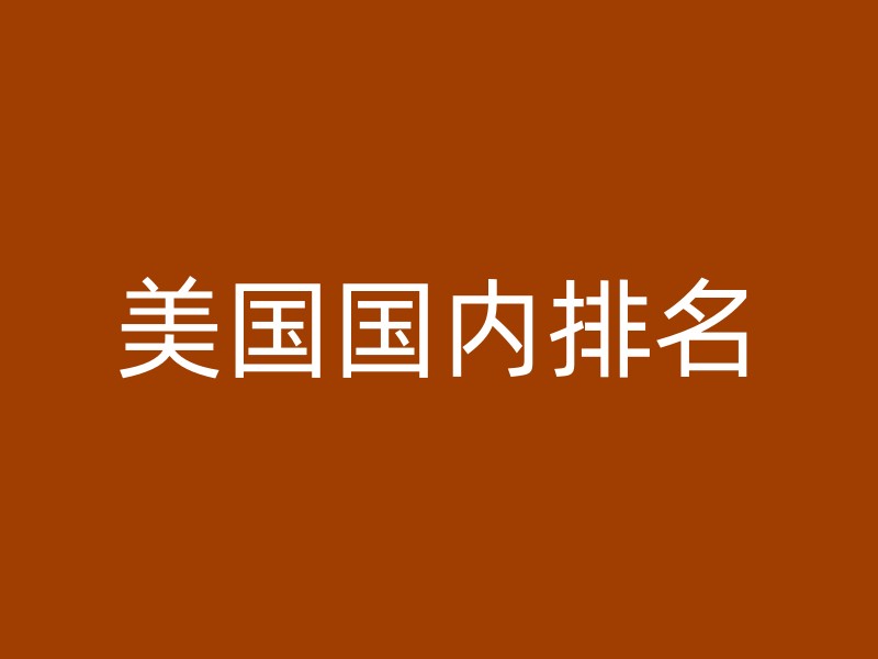 美国国内排名