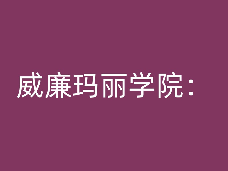 威廉玛丽学院：