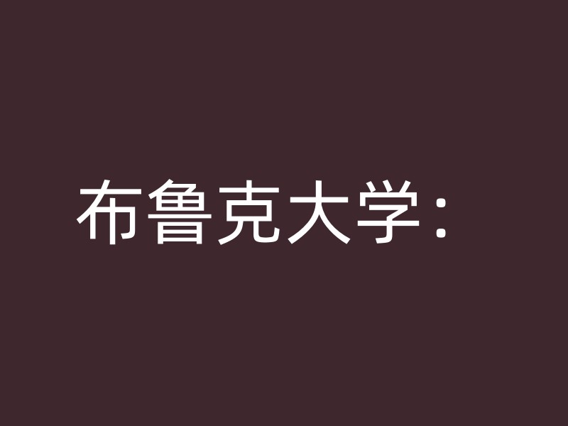 布鲁克大学：