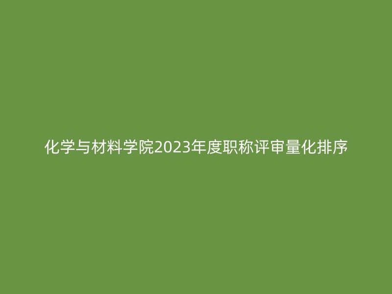 化学与材料学院2023年度职称评审量化排序