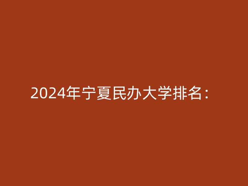 2024年宁夏民办大学排名：