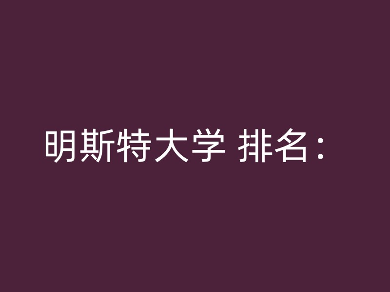 明斯特大学 排名：