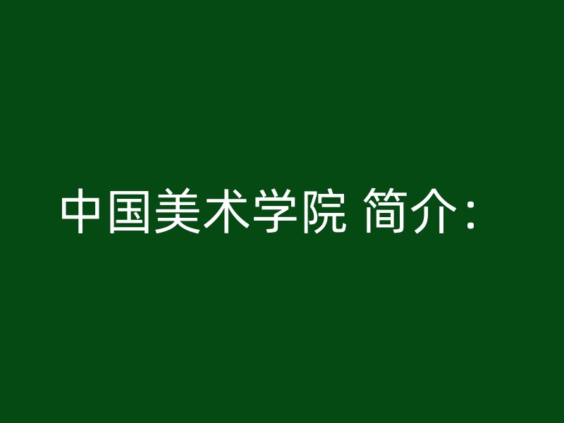 中国美术学院 简介：