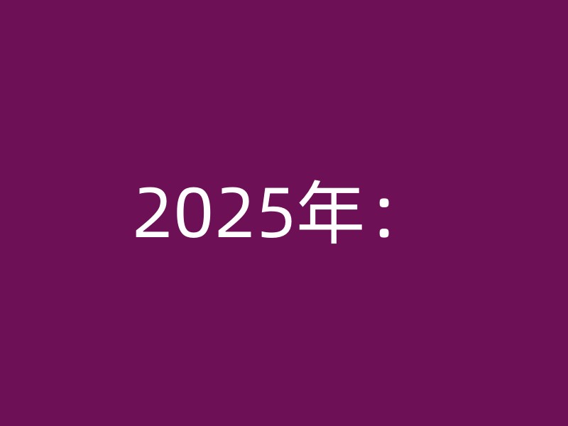 2025年：