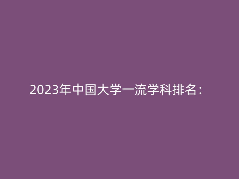 2023年中国大学一流学科排名：