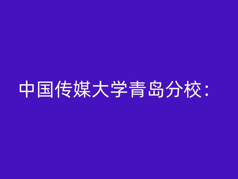 中国传媒大学青岛分校：