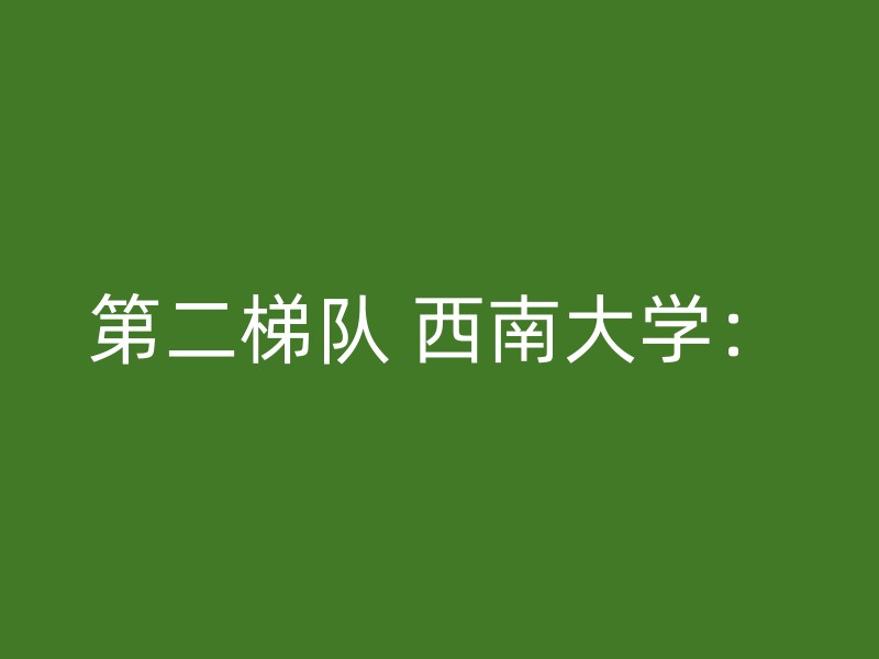 第二梯队 西南大学：