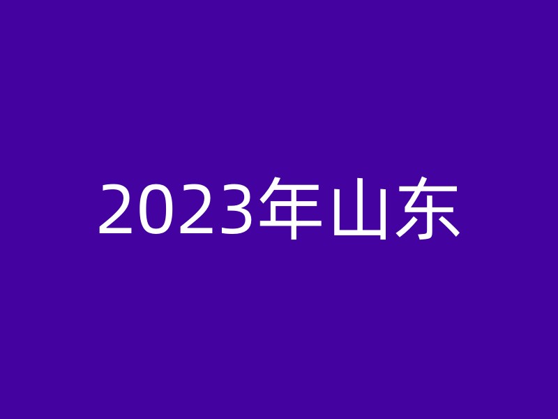 2023年山东