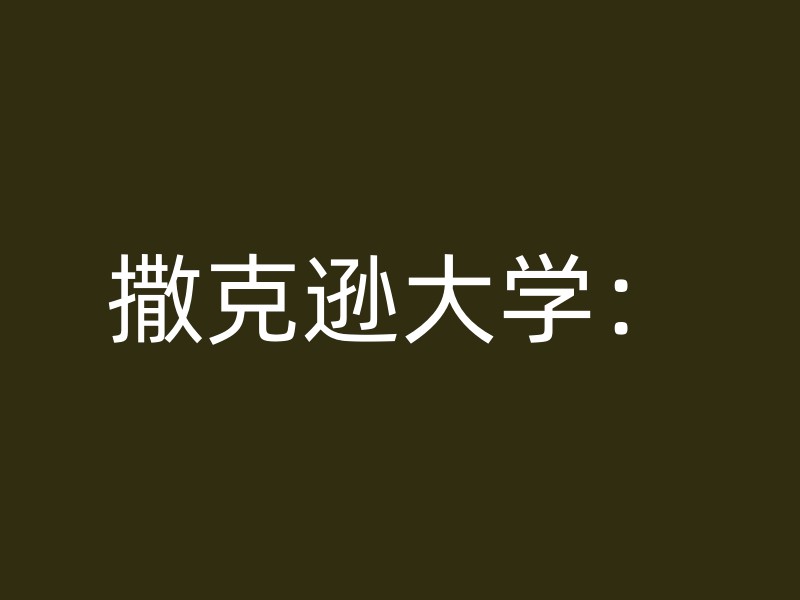 撒克逊大学：