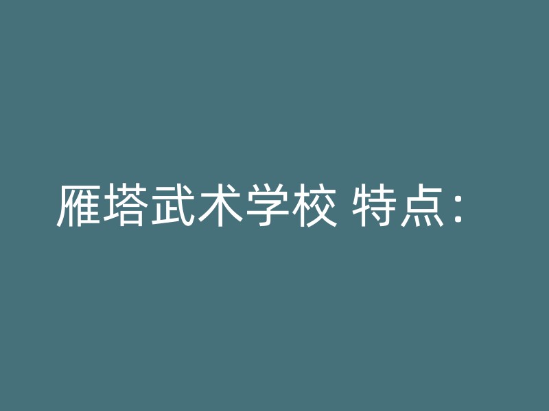 雁塔武术学校 特点：