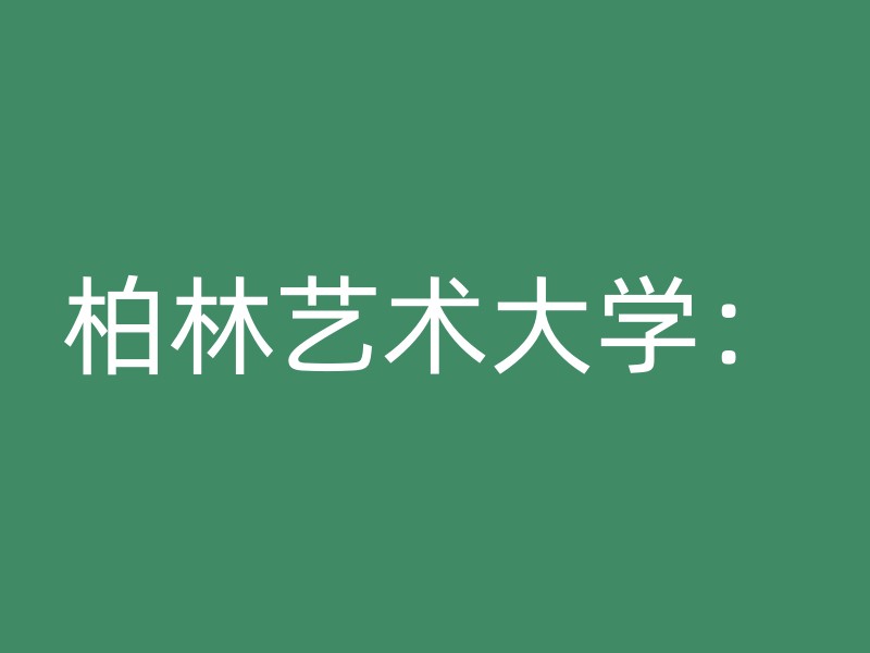 柏林艺术大学：