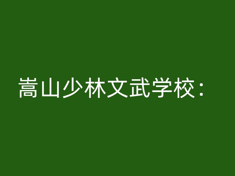 嵩山少林文武学校：