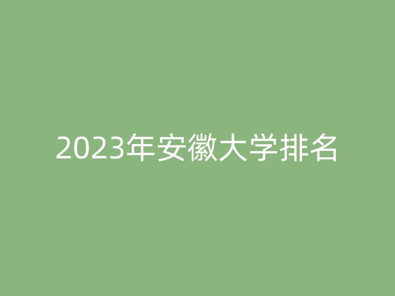 2023年安徽大学排名