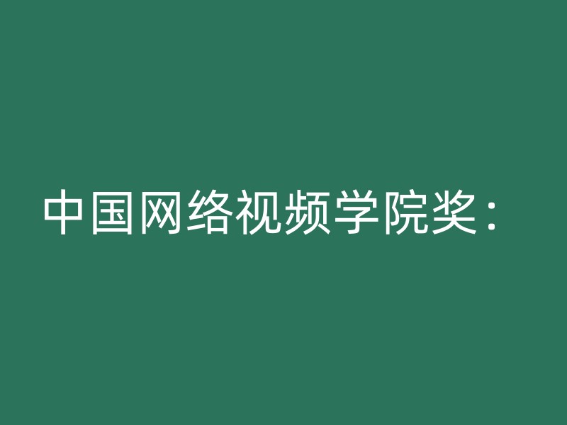 中国网络视频学院奖：