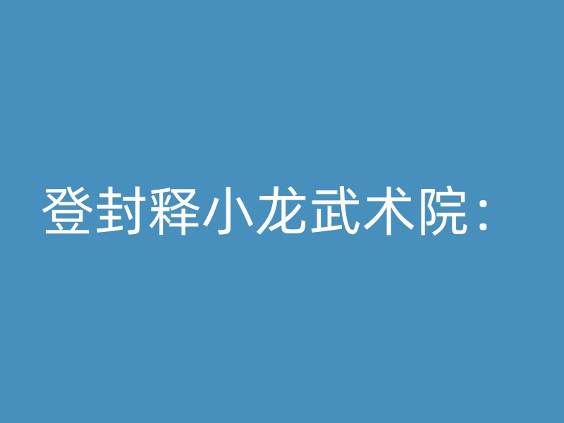 登封释小龙武术院：