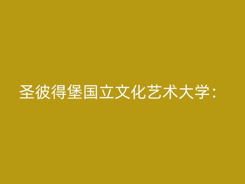 圣彼得堡国立文化艺术大学：