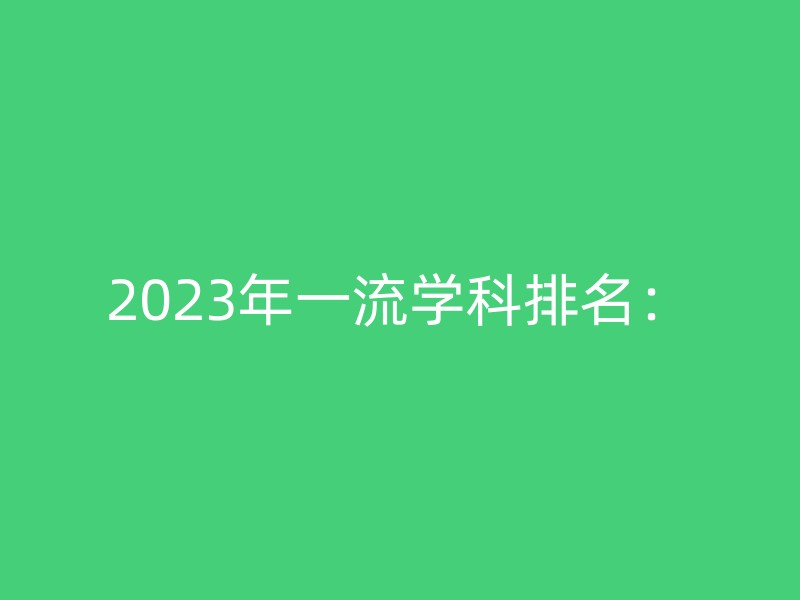 2023年一流学科排名：