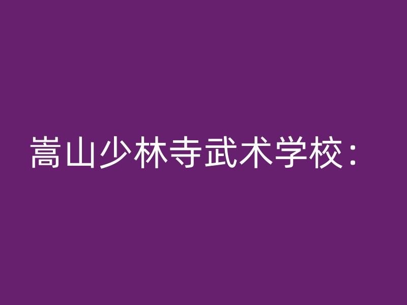 嵩山少林寺武术学校：