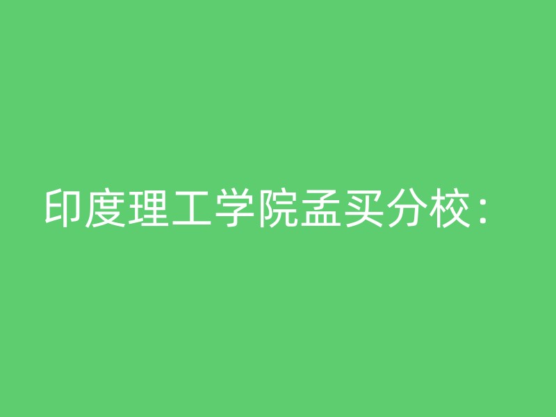 印度理工学院孟买分校：