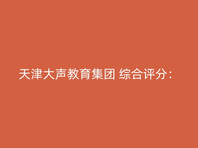 天津大声教育集团 综合评分：